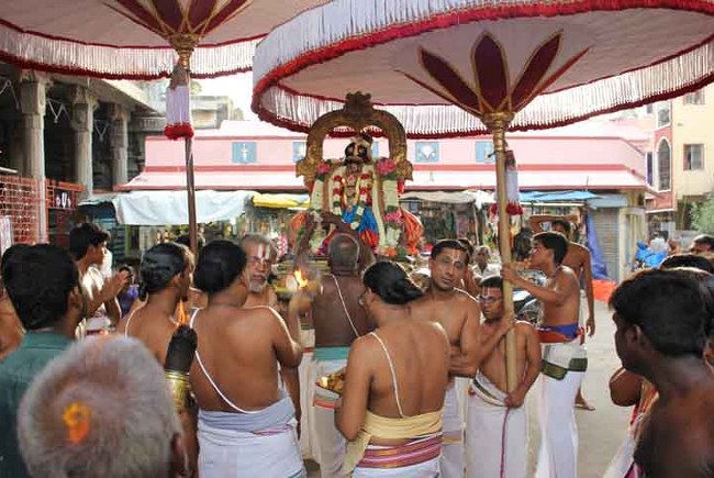 THiruvallikeni Sri Parthasarathy Temple Andal THiruvadipooram Utsavam day 3 2014 03