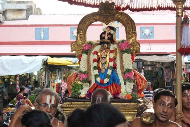 THiruvallikeni Sri Parthasarathy Temple Andal THiruvadipooram Utsavam day 3 2014 04