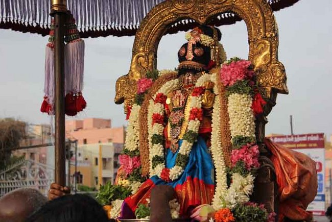 THiruvallikeni Sri Parthasarathy Temple Andal THiruvadipooram Utsavam day 3 2014 05
