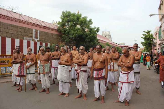THiruvallikeni Sri Parthasarathy Temple Andal THiruvadipooram Utsavam day 3 2014 08