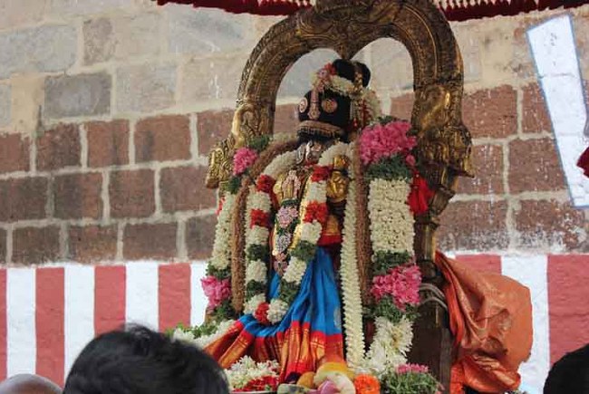 THiruvallikeni Sri Parthasarathy Temple Andal THiruvadipooram Utsavam day 3 2014 10