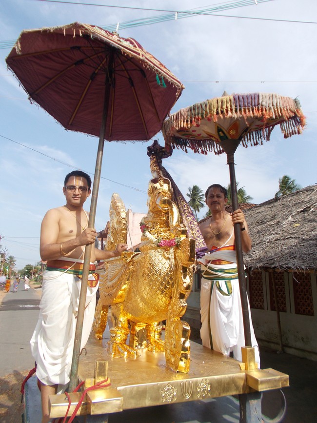 Therazhundur Amaruviyappan  Kovil  THiruvadipooram Utsavam 2014 11