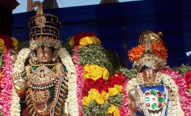 Therazhundur Sri Amaruviyappan Sri Andal Thiruvadipooram Utsavam day 7 2014 04