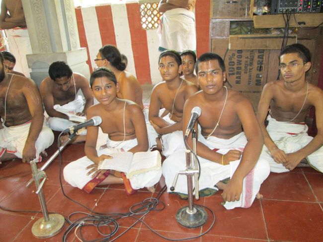 Thirumanjanam at Selaiyur Ahobila mutt Temple 2014 13