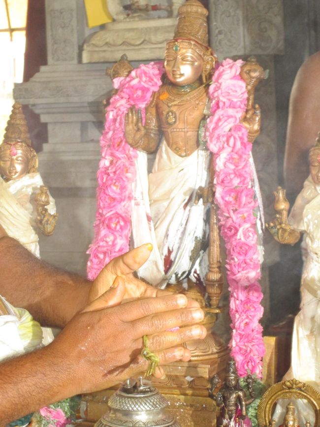 Thirumanjanam at Selaiyur Ahobila mutt Temple 2014 19