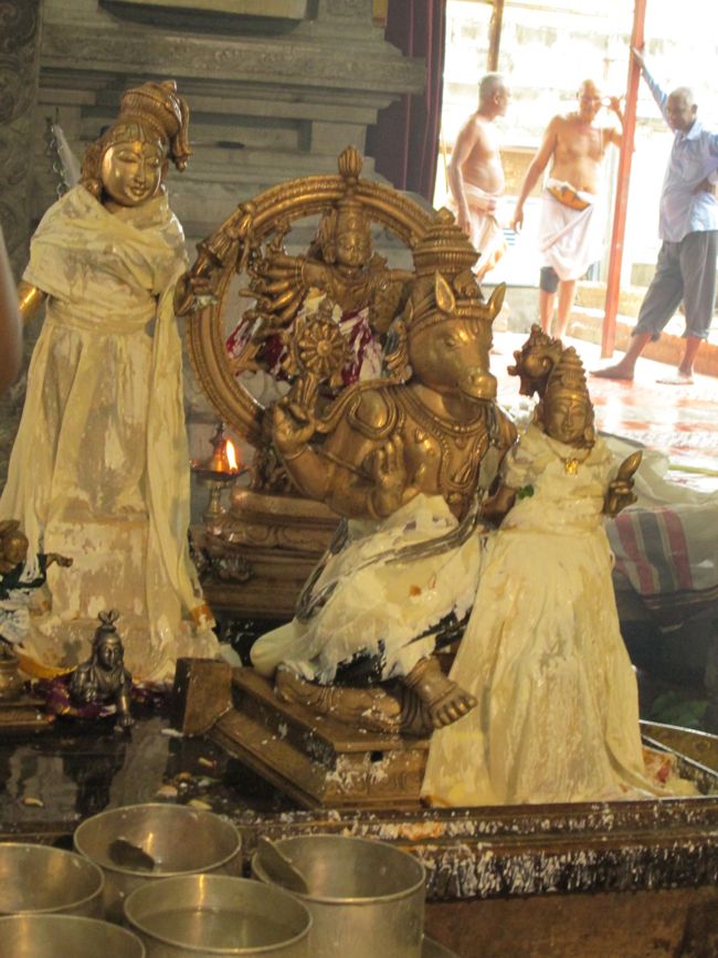 Thirumanjanam at Selaiyur Ahobila mutt Temple 2014 21