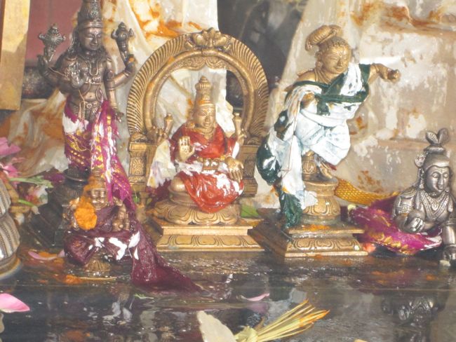 Thirumanjanam at Selaiyur Ahobila mutt Temple 2014 22
