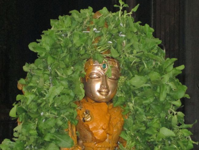 Thirumanjanam at Selaiyur Ahobila mutt Temple 2014 33