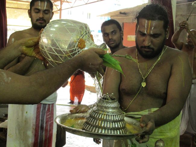 Thirumanjanam at Selaiyur Ahobila mutt Temple 2014 44