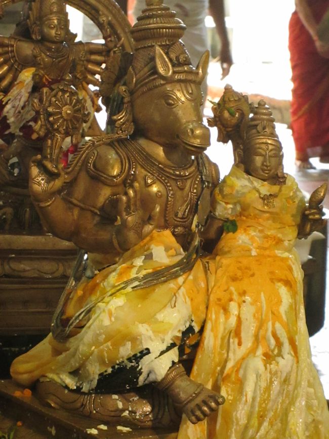 Thirumanjanam at Selaiyur Ahobila mutt Temple 2014 53
