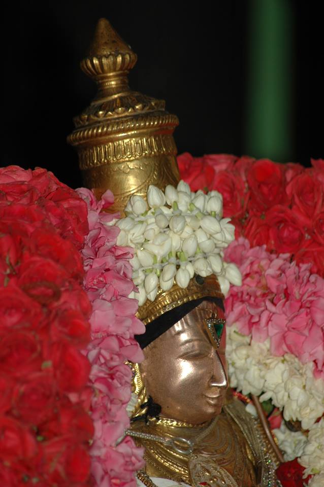 Thiruneermalai Ranganatha Perumal temple Periyazhwar THirunakshatra Utsavam 2014 12