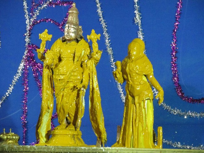 Thiruvaadipooram At Thiruvahindrapuram Sri Devanathan Perumal Temple16