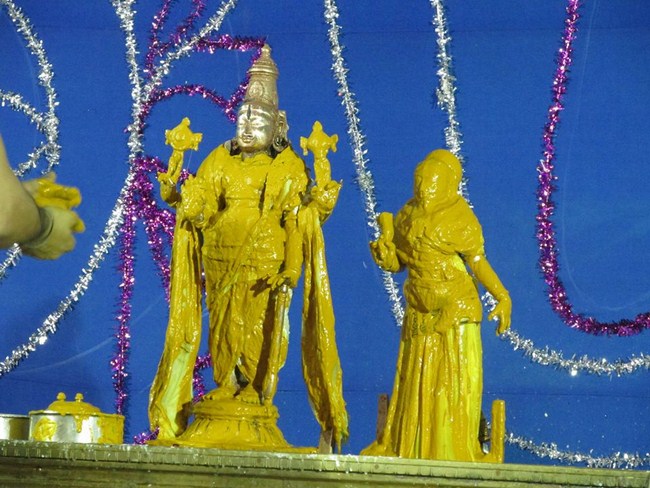 Thiruvaadipooram At Thiruvahindrapuram Sri Devanathan Perumal Temple20