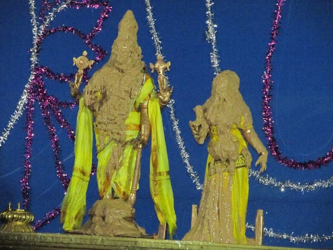 Thiruvaadipooram At Thiruvahindrapuram Sri Devanathan Perumal Temple23