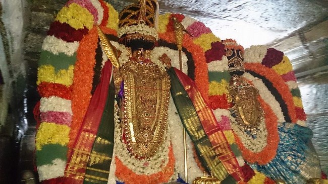 Thiruvaadipooram At Thiruvahindrapuram Sri Devanathan Perumal Temple31