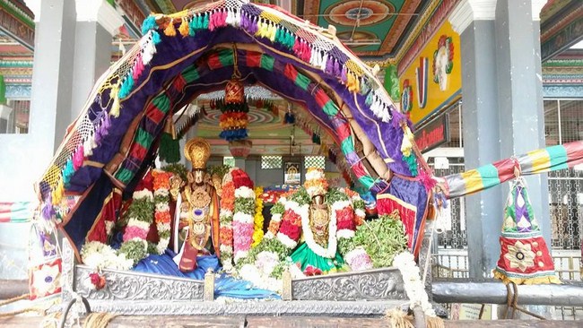 Thiruvaadipooram At Thiruvinnagar Sri Oppilliappan Venkatachalapathi Temple 13