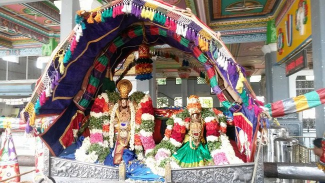 Thiruvaadipooram At Thiruvinnagar Sri Oppilliappan Venkatachalapathi Temple 2