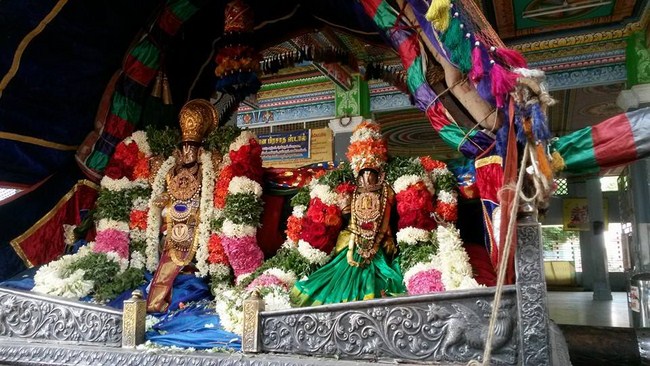 Thiruvaadipooram At Thiruvinnagar Sri Oppilliappan Venkatachalapathi Temple 4