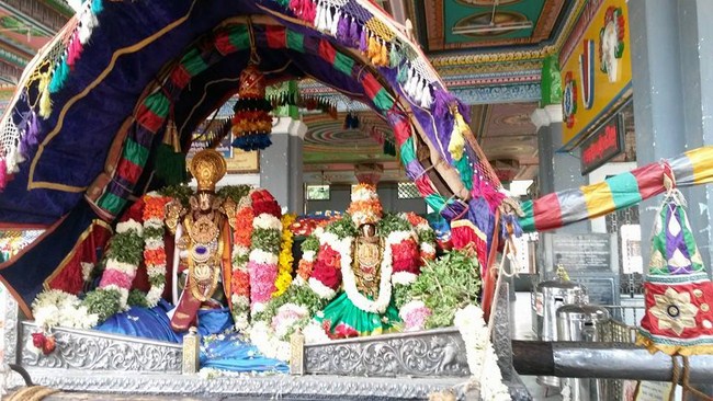 Thiruvaadipooram At Thiruvinnagar Sri Oppilliappan Venkatachalapathi Temple 9