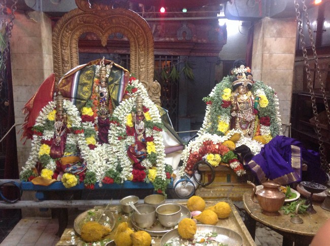 Thiruvaadipooram Thirukalyanam At Nanganallur Sri Lakshmi Hayavadhana Perumal Temple 10