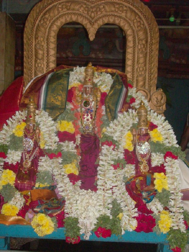 Thiruvaadipooram Thirukalyanam At Nanganallur Sri Lakshmi Hayavadhana Perumal Temple 11