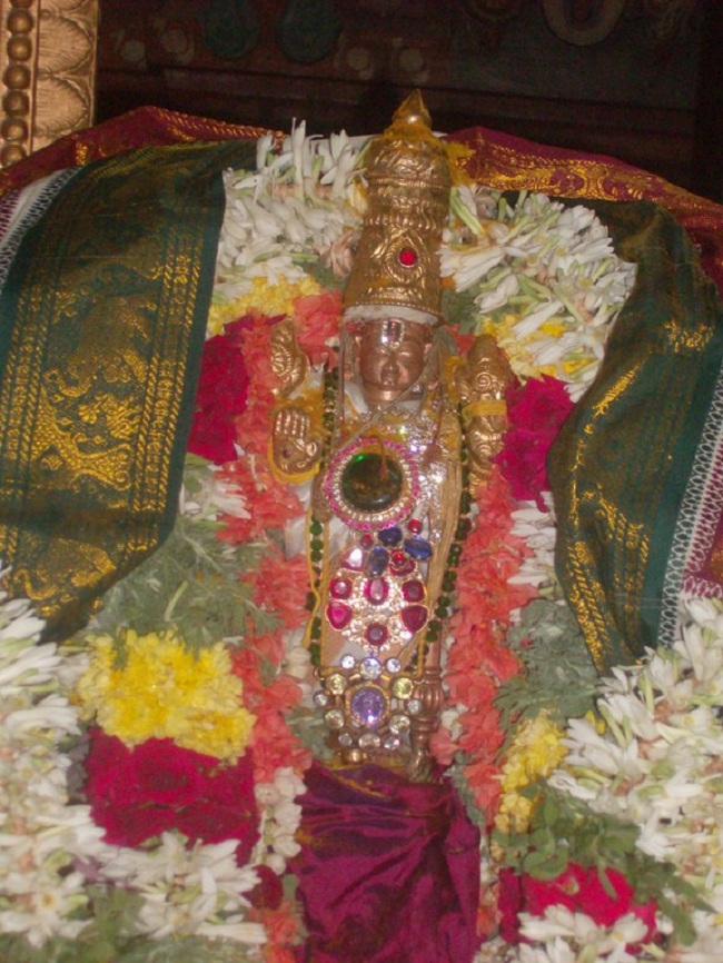 Thiruvaadipooram Thirukalyanam At Nanganallur Sri Lakshmi Hayavadhana Perumal Temple 18