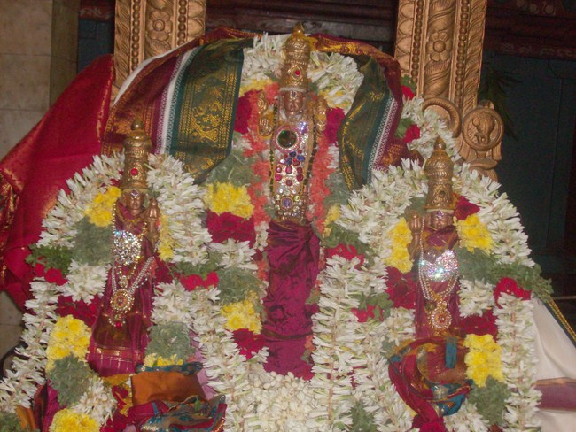 Thiruvaadipooram Thirukalyanam At Nanganallur Sri Lakshmi Hayavadhana Perumal Temple 20