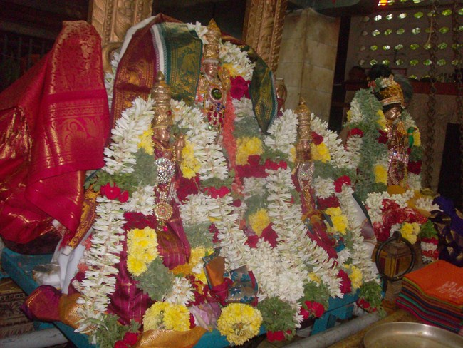Thiruvaadipooram Thirukalyanam At Nanganallur Sri Lakshmi Hayavadhana Perumal Temple 4