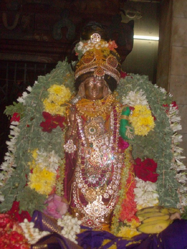 Thiruvaadipooram Thirukalyanam At Nanganallur Sri Lakshmi Hayavadhana Perumal Temple 5