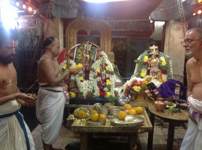 Thiruvaadipooram Thirukalyanam At Nanganallur Sri Lakshmi Hayavadhana Perumal Temple 6