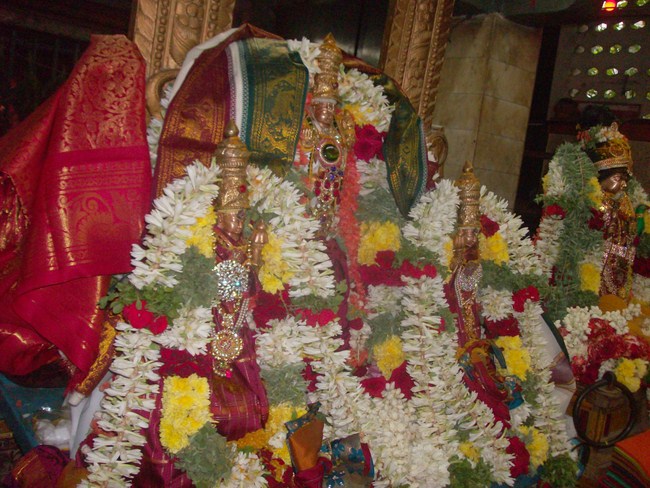 Thiruvaadipooram Thirukalyanam At Nanganallur Sri Lakshmi Hayavadhana Perumal Temple 7
