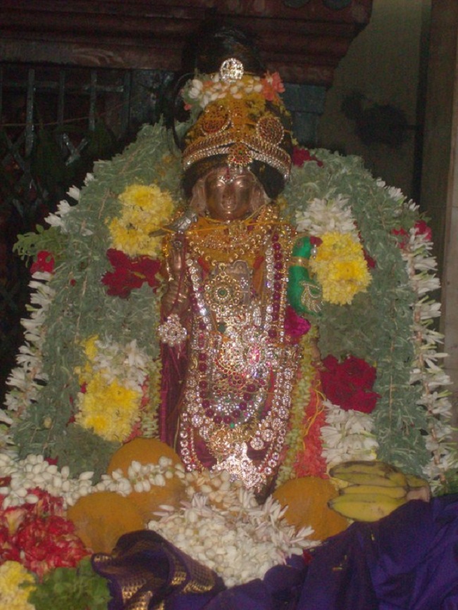 Thiruvaadipooram Thirukalyanam At Nanganallur Sri Lakshmi Hayavadhana Perumal Temple 9