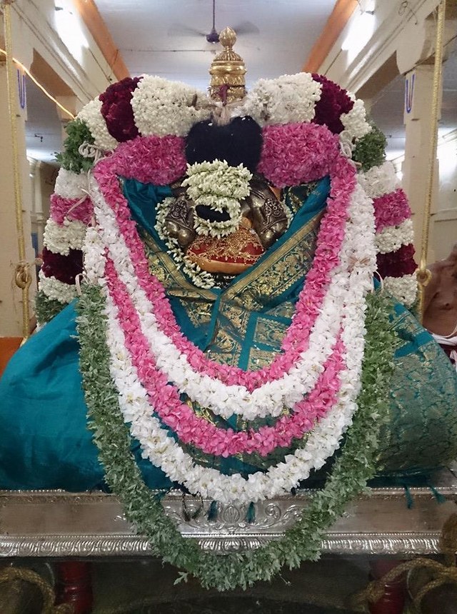 Thiruvahindarapuram Nathamui THirunakshatram 2014 1