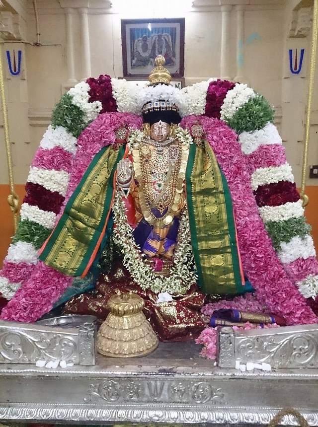 Thiruvahindarapuram Nathamui THirunakshatram 2014 4