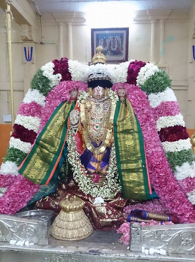 Thiruvahindarapuram Nathamui THirunakshatram 2014 5