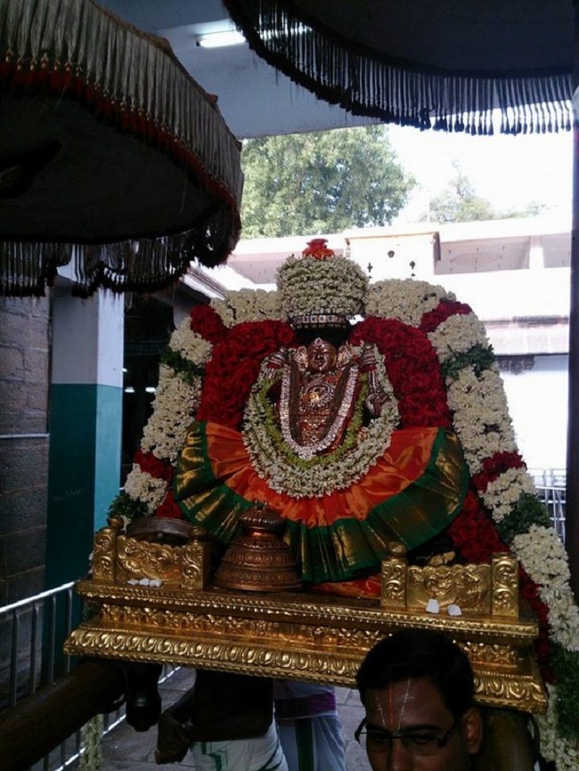 Thiruvahindrapuram Aadi Velli Purappadu And Thiruvadipooram Utsavam1