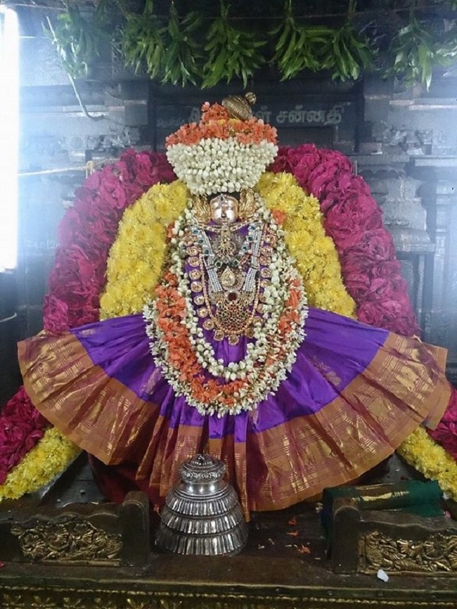 Thiruvahindrapuram Aadi Velli Purappadu And Thiruvadipooram Utsavam2
