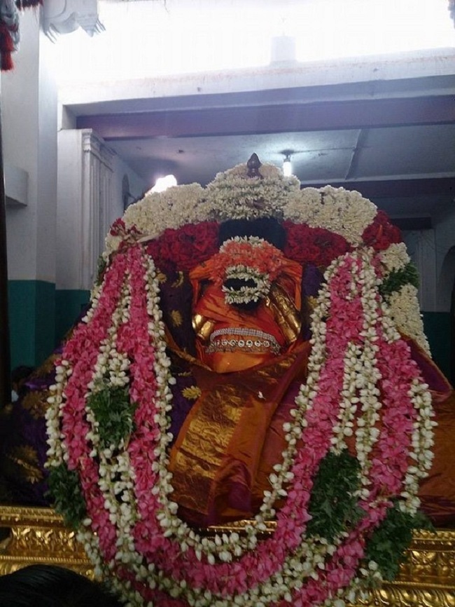 Thiruvahindrapuram Aadi Velli Purappadu And Thiruvadipooram Utsavam3