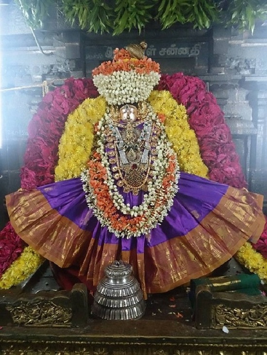 Thiruvahindrapuram Aadi Velli Purappadu And Thiruvadipooram Utsavam4