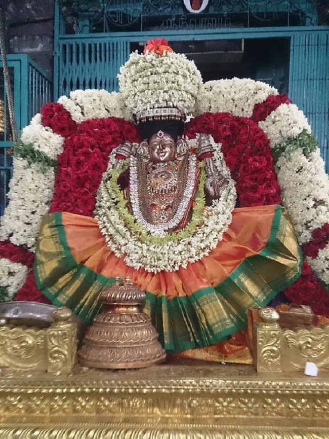 Thiruvahindrapuram Aadi Velli Purappadu And Thiruvadipooram Utsavam5