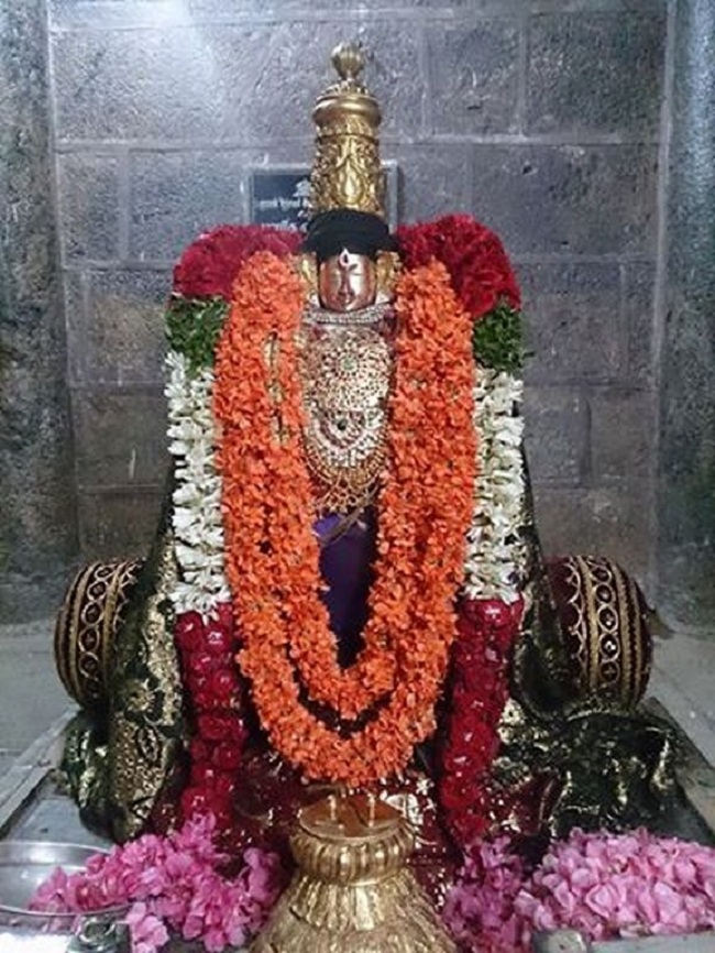 Thiruvahindrapuram Sri Devanathan Perumal Temple Swami Desikan Vasanthotsavam1