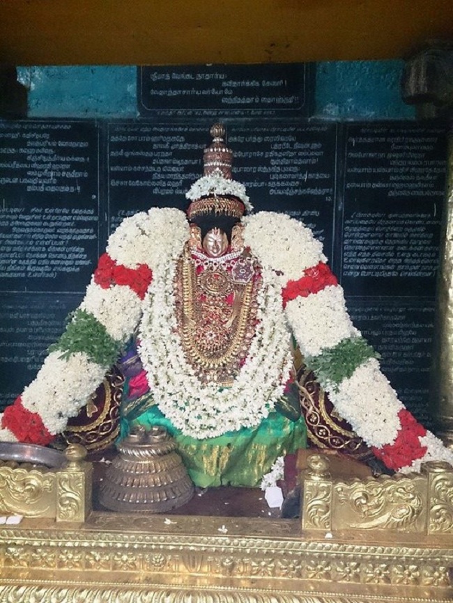 Thiruvahindrapuram Sri Devanathan Perumal Temple Swami Desikan Vasanthotsavam2