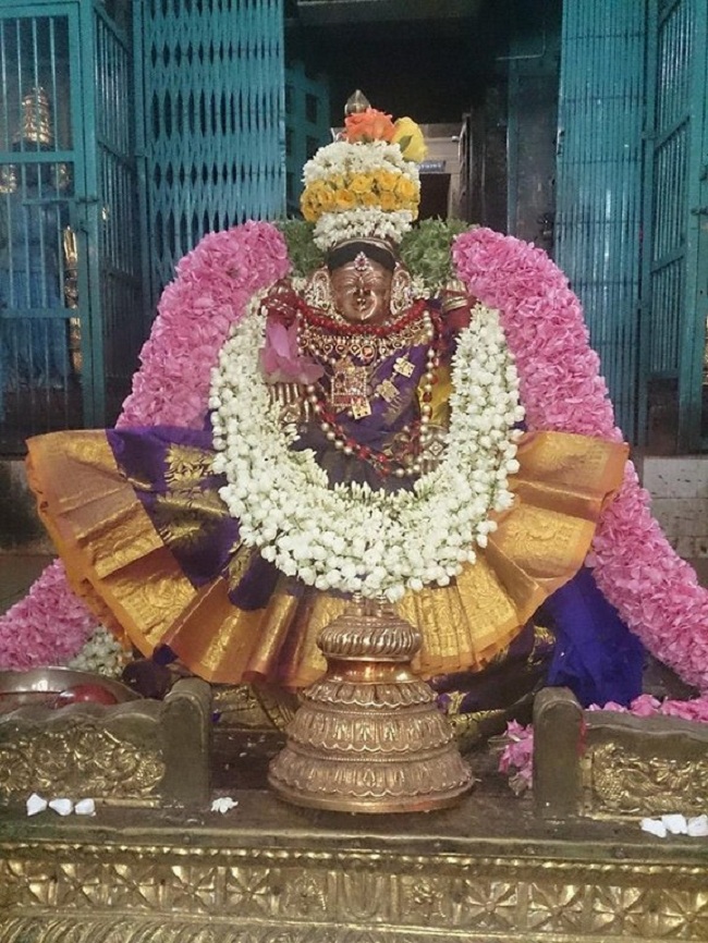 Thiruvahindrapuram Sri Devanathan Perumal Temple Swami Desikan Vasanthotsavam2