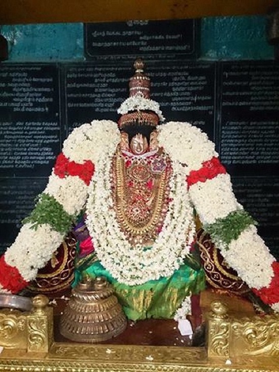 Thiruvahindrapuram Sri Devanathan Perumal Temple Swami Desikan Vasanthotsavam3