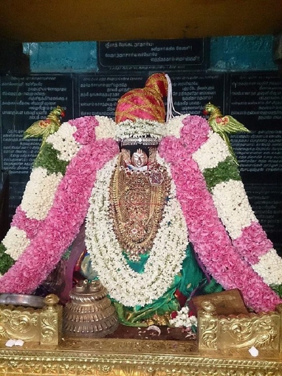 Thiruvahindrapuram Sri Devanathan Perumal Temple Swami Desikan Vasanthotsavam3