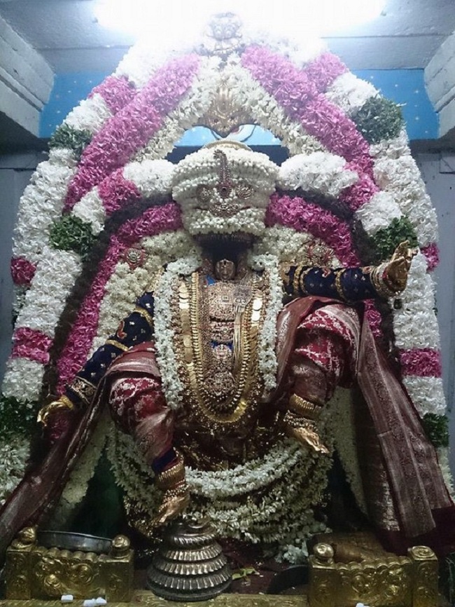 Thiruvahindrapuram Sri Devanathan Perumal Temple Swami Desikan Vasanthotsavam4