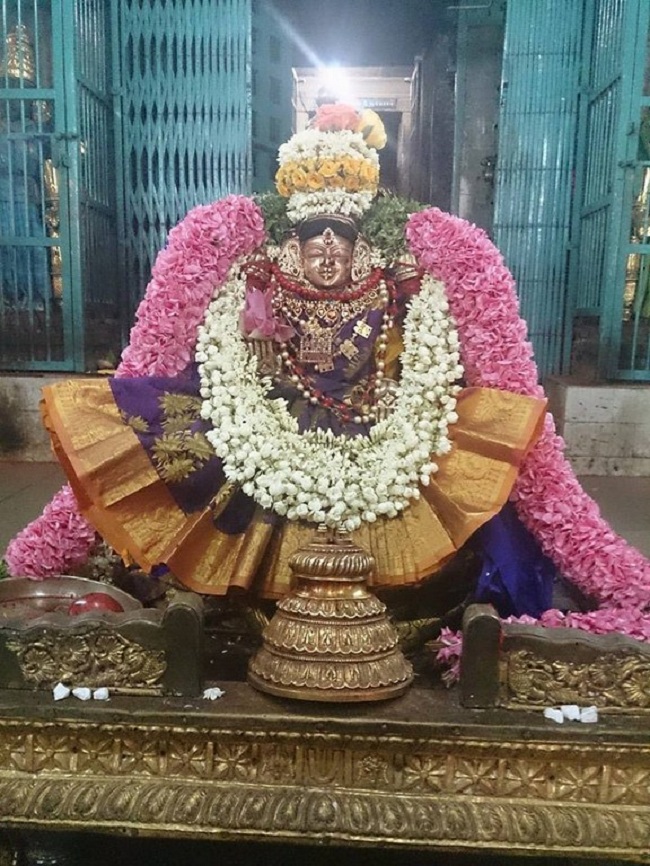 Thiruvahindrapuram Sri Devanathan Perumal Temple Swami Desikan Vasanthotsavam5