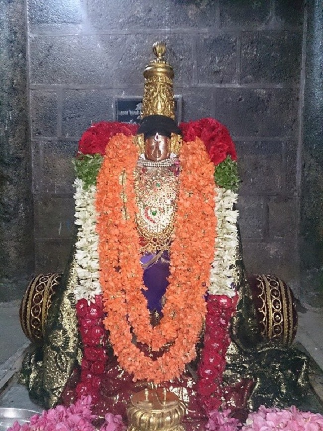 Thiruvahindrapuram Sri Devanathan Perumal Temple Swami Desikan Vasanthotsavam5