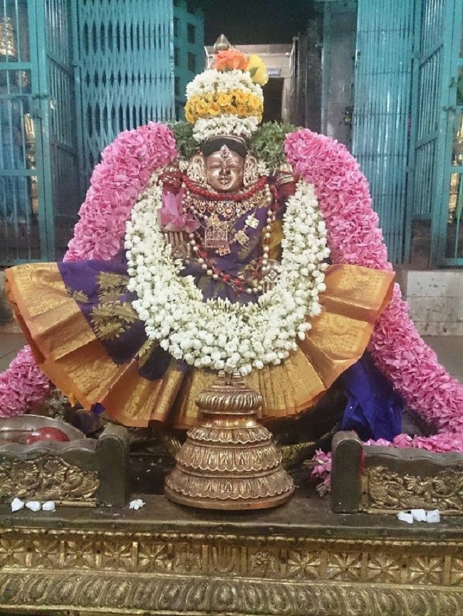 Thiruvahindrapuram Sri Devanathan Perumal Temple Swami Desikan Vasanthotsavam6