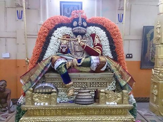 Thiruvahindrapuram Sri Devanathan Perumal Temple Swami Desikan Vasanthotsavam6